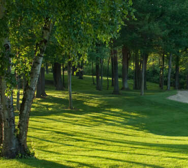 Grepp till Golfklubba